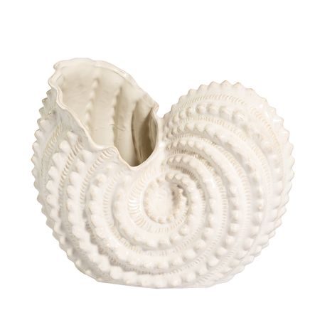 White ceramic shell-shaped vase on a white background